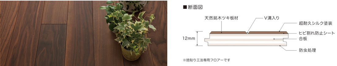 断面.jpg